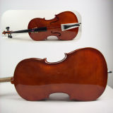 Sinomusik Quality Brown Colour Plywood Student Cello