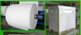 Coated Paper in Rolls