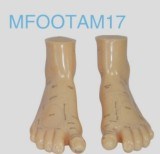 Massage Foot Acupuncture Model (17cm)