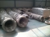 Specialized Production Stainless Steel Wire