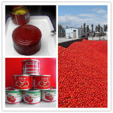 Wholesale The High Quality of Tomato Paste in Drum