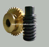 Precision Small Brass/Copper/Bronze Stepper Motor Worm Gear