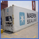 Logistics Reefer Container From Shenzhen, China to Veracruz / Guadalajara