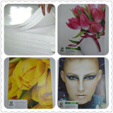 Good Quality Art Paper/ Coated Printing Paper in Sheet or Roll