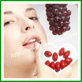 Grape Seed Softgel