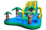 Dual Tropical Water Slide Inflatable Slide Inf008