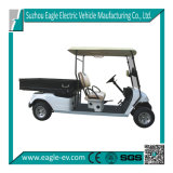2 Seaters Electric Golf Car, Eg2048hcx