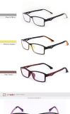 High Quality Tr90 Frame Eyewear Glasses