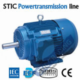 IEC Cast Iron Ie3 Electric Motor