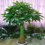Cheap Price Artificial Pachira Macrocarpa Bonsai Tree (indoor&outdoor)