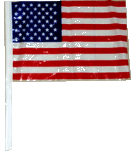 Antenne Flag (1)