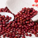 China Organic Red Dired Bean for Wholesale