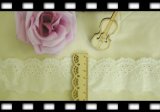 Fashional White Embroidery Cotton Lace Fabric Textile