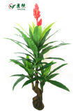 Bonsai Tree Hot Sale 5.45 Ft Artificial Asplenium Nidus for Wholesale