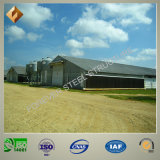 Prefabricated Chicken Poultry House Steel Structure