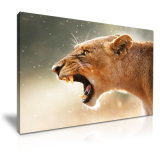 Lion Animal Canvas Prints Decorative Painting for Your Home