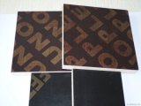 WBP Glue Film Faced Plywood Black Color (21mm)