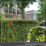 Outdoor Artificial Boxwood Privacy Hedge