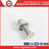 Ss304, 316 Flat Head Carriage Bolts