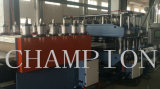 PP/PE Hollow Plastic Sheet Extrusion/Extruder Machinery