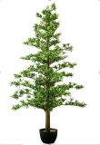 Artificial Tree-Plastic Podocarpus Tree (X-SSZ5902)