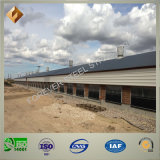Cost-Saving Steel Frame Poultry Farm
