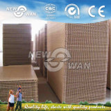 Hollow Core Particleboard, Door Core Particleboard