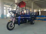 150cc for Heavyloading Cargo Tricycle with Double Tire (TR-18)