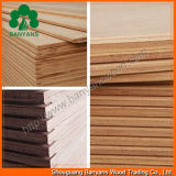 28mm 19ply Plywood for Repair Container Flooring Floorboard