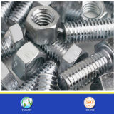 Made in China Steel Bolt