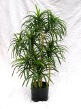 Artificial Plants of Lily Bamboo Gu-Ff0002