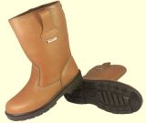 Safety Working Shoes (SF-316)