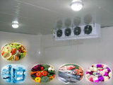 New Food Storage Cold Storage Room Equipment Manufacturer
