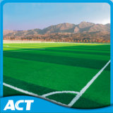 Artificial Grass, Football Grass, Sports Grass, Synthetic Grass (W50)