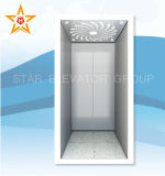 The Best Hot Selling Home Elevator in China