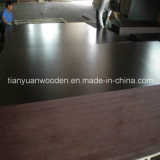 Construction Timber Wooden Black Board Laminate Plywood