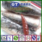 125g Hot Sale Canned Sardine in Oil with Chilli