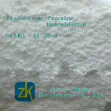 Pharmaceutical Intermediate Procaine Hydrochloride on Sale 99%