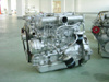 Diesel Engine (CF495)