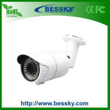 1200tvl Waterproof Sony CCD CCTV Surveillance Camera (BE-IJC)