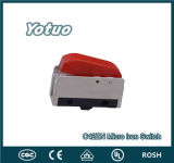 Red Button Micro Switch C42ZN /Iron switch/iron thermostat switch/iron micro switch