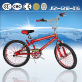King Cycle Eco Standard Kids Bike for Girl Direct From Topest Factory