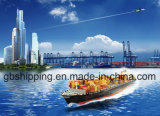 Logistic Service, Air Transport, Shipment to USA