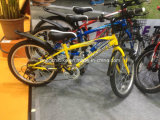 Factory Offer Kids Bike with Basket (HC-81-2)