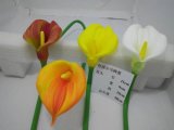 High Quality of Artificial Calla Lily Flowers Gu-Jy929213433