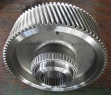 Helical Gear for Reducer