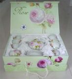 Porcelain 17PCS Tea Set in Gift Box