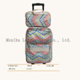 2014 New Arrival Polyester Luggage Set with High Quality