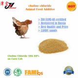 Cattle, Chicken Use and Animal Feed Type Choline Chloride