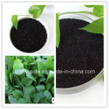 Organic Fertilizer-Potassium Humate